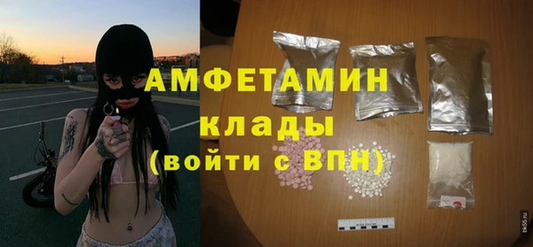 ГАЛЛЮЦИНОГЕННЫЕ ГРИБЫ Белокуриха