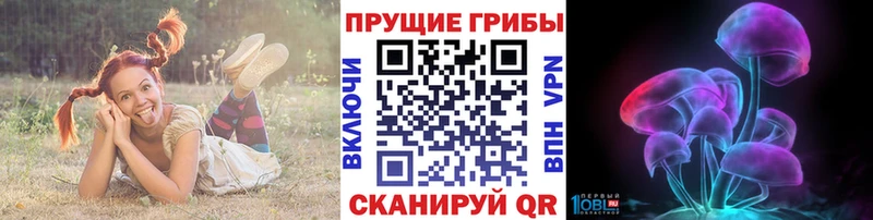 Галлюциногенные грибы прущие грибы  MEGA зеркало  Ачхой-Мартан  где продают  