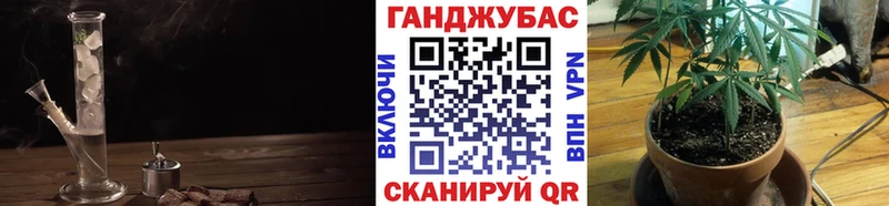Конопля Ganja  купить  сайты  кракен tor  Ачхой-Мартан 
